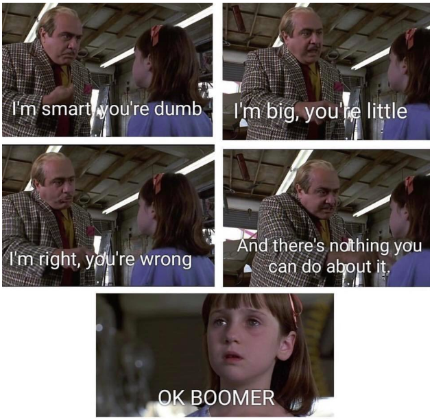 OK Boomer meme 2020