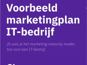 Een voorbeeld marketingplan voor B2B (met template én case)